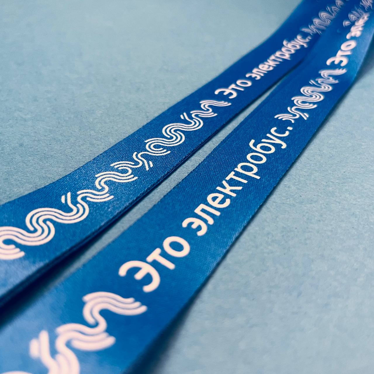 Комплект: лента шириной 20 мм, надежный карабин и функциональный разъемный замок.