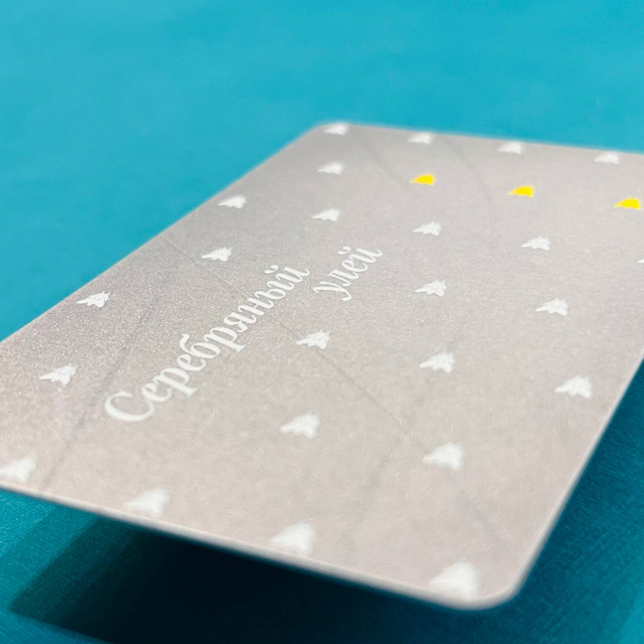 Карта посетителя музея на серебряном пластике с выборочной лакировкой и печатью тактильных элементов